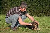 BERGER ALLEMAND 002